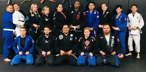 Flow Roll BJJ & MMA