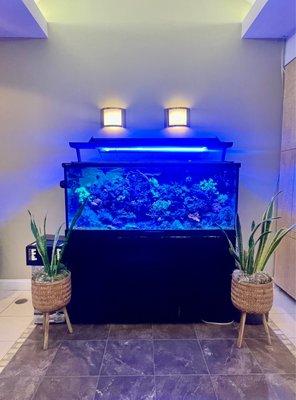 Fish tank