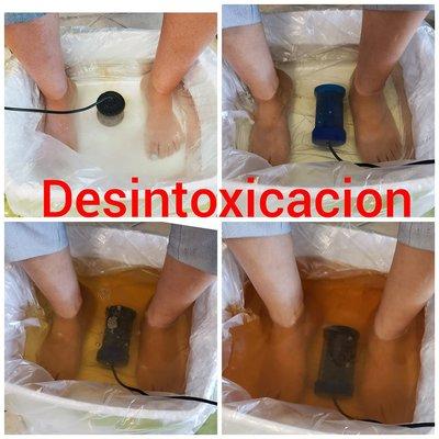 Desintoxicacion