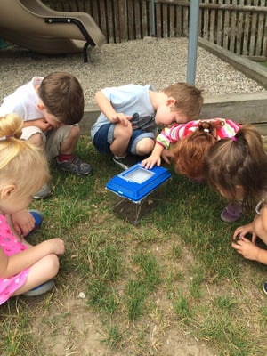 Investigations continue in our outside classroom