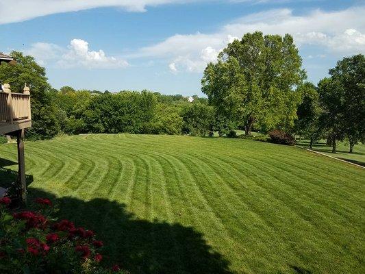 One of our favorite mowing clients