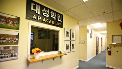 The AP Academy