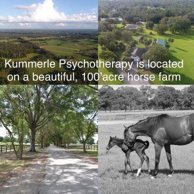 Kummerle Psychotherapy is located on a 100 acre thoroughbred training facility