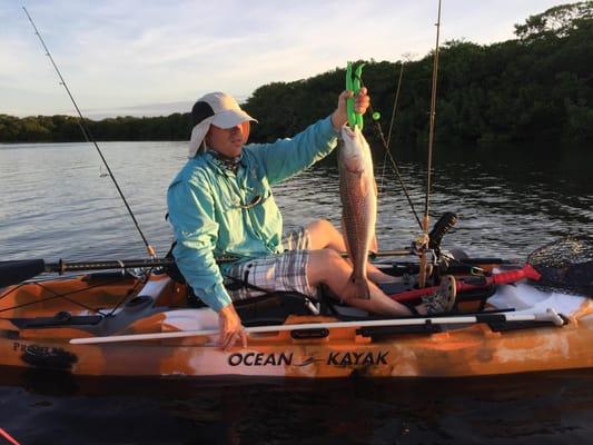 What a fight this Redfish put up first thing in the morning! Was 26 3/4 inches, just barely small enough to keep. Lots of fried Redfish!