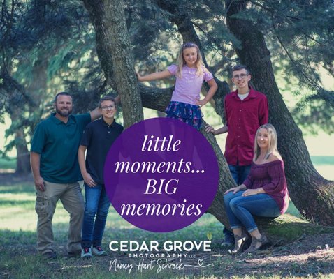 Little moments..BIG memories at Cedar Grove Photography