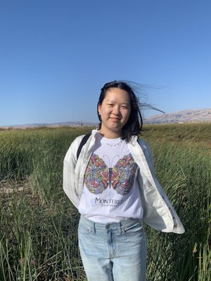 Monterey color changing butterfly  shirt!