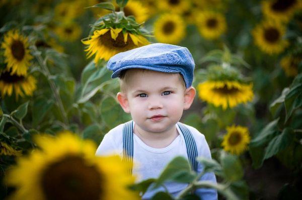 Sunflower Mini Session