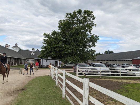 Heading back to the stall