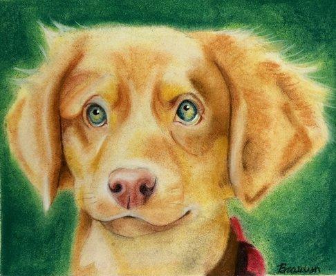 Braidyn, age 12, Pastel