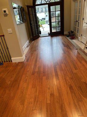 Brazilian cherry 3/4 hard wood flooring new installation