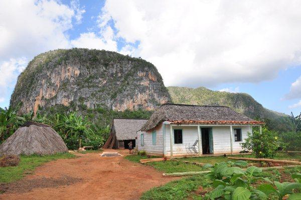 Viñales