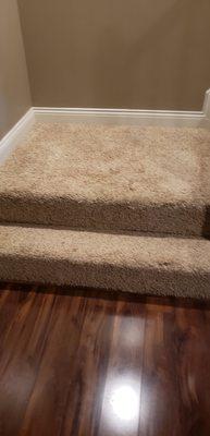 Residential carpet & flooring.