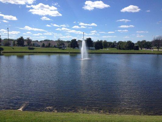 Elegant pond