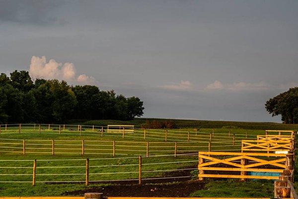 Dawson Pointe Stables