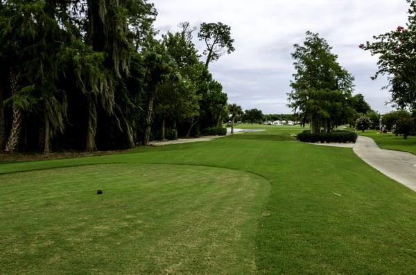 The tee shot through the shoot on No. 7