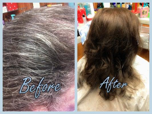 Organic Hair Color Treatment! Covers grey without the chemicals! Price starts at $80