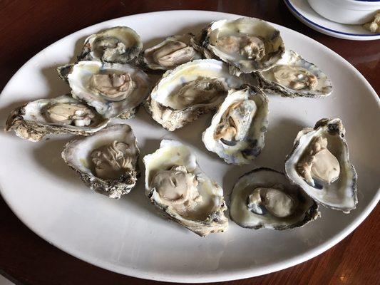 Steamed Oysters... very good.