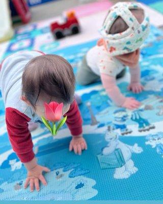 Outdoor Playtime