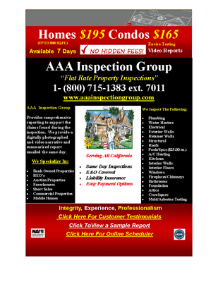 AAA Inspection Group, Inc