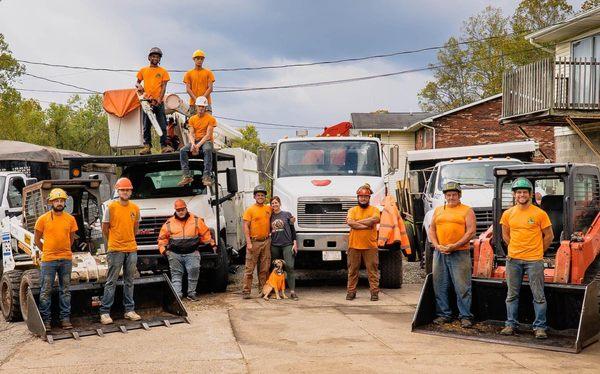 Stop Chop & Drop It Tree Services