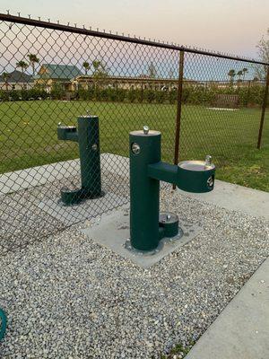 Dog / Human Water Fountain. One provided for large and small dogs alike