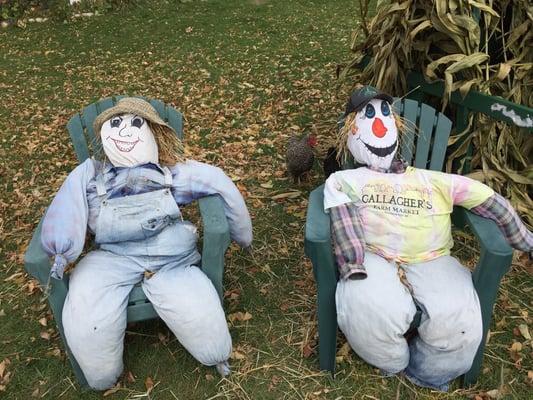 A fine pair of scarecrows if I've ever seen one.