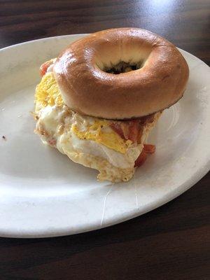 Egg cheese tomato on a plain bagel