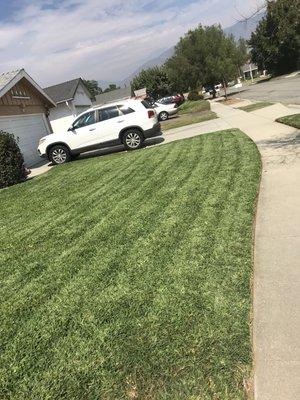 Sharpened blades, sharp looking lawns