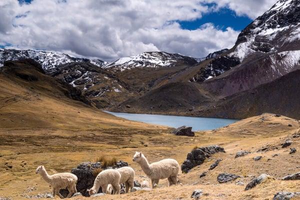 Ausangate Trek, Cusco, Peru