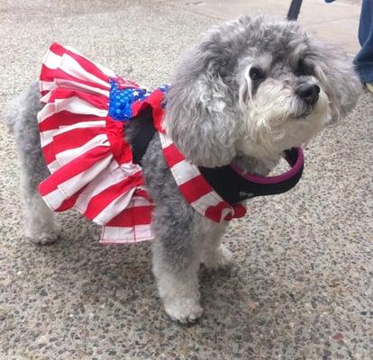 Zoe observes Memorial Day!