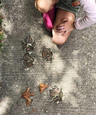 Kids love finding foggy prints and signs of fall around the corner.