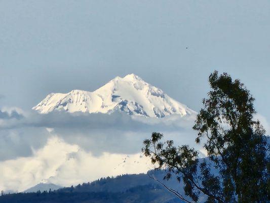 Mt. Shasta