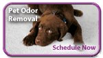 Stevens Family  Chem-Dry provides pet urine removal that is eco-friendly.