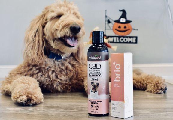 CBD for our furry loved ones