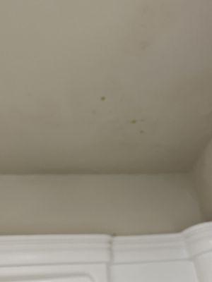 Mold on ceiling