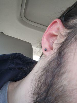 16 gauge ear piercing. Currently stretched to 12 gauge