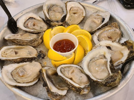 Gulf oysters