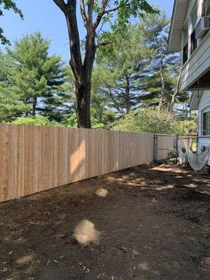 Cedar dog eared fence