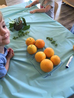 Orange day! Making a square, triangle and counting. Making orange juice, smelling orange leaves.