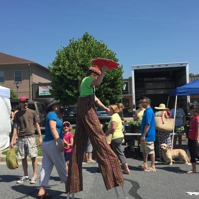 A stilt walker for the picnic pops ribbon cutting