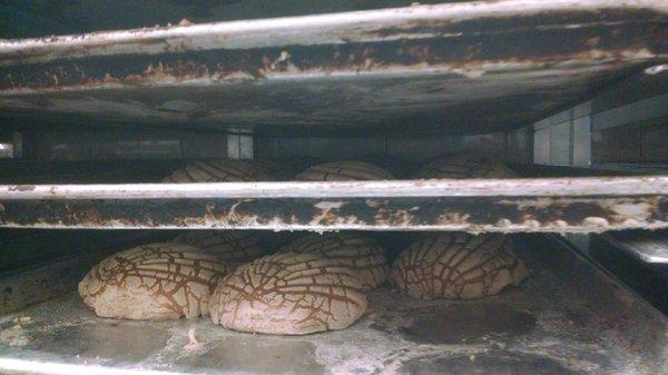 Classic Mexican sweet bread ($0.50 a piece?).