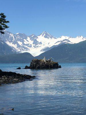 Togo Alaska Travel Consulting