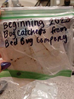 One photo of a recent dated bag of bed bugs