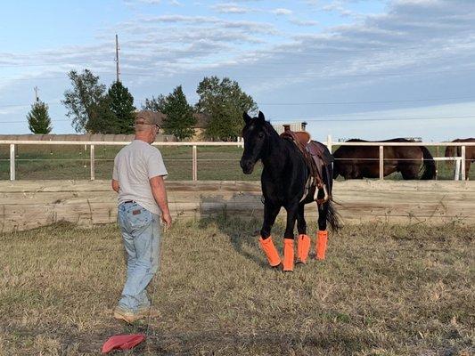 Hank working with Pal