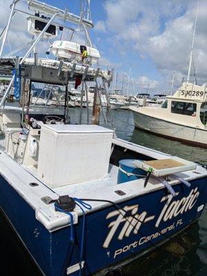 Fintactic Fishing Charters