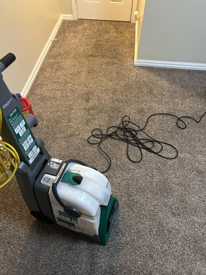 Carpet cleaning