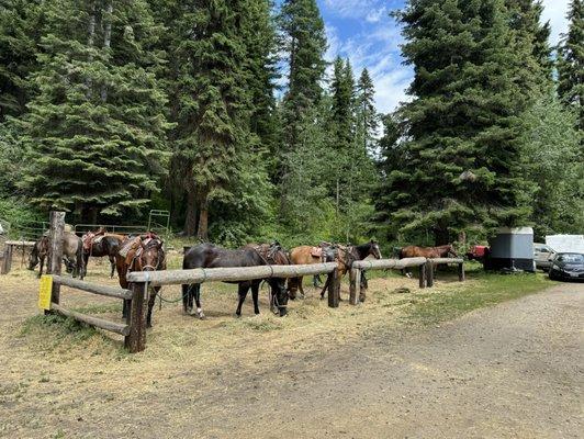 Horse hitching area (located near entrance).