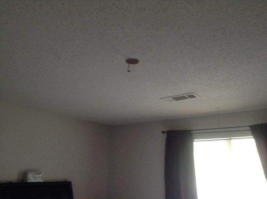 $1300/ month is too much. Ceiling fan fell off the ceiling last nite. Installations aren't good. Air. Doesn't stay in.