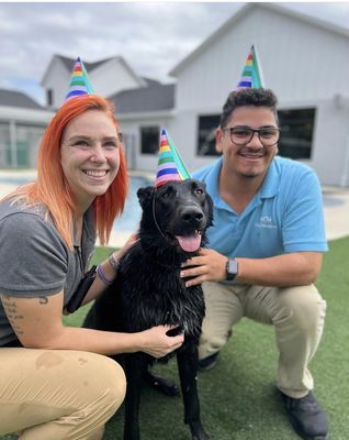 Susie, Finley & Gavin