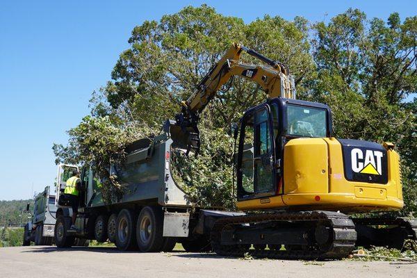 Demolition work and tree removal (Derecho 2020)